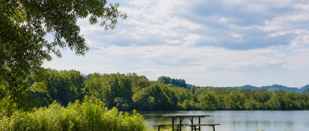 Picnic table with benches on a grassy shore overlooking a calm lake, surrounded by trees and a blue sky.
