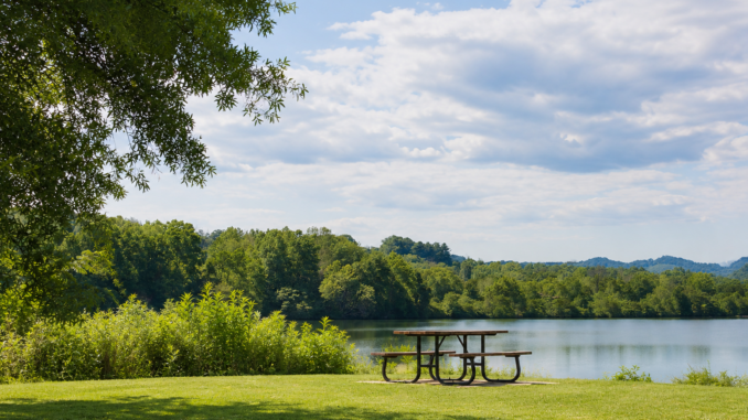 Picnic table with benches on a grassy shore overlooking a calm lake, surrounded by trees and a blue sky.